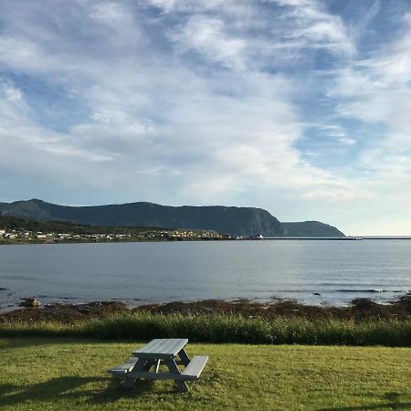 Wildflowers Country Inn Rocky Harbour Exterior foto